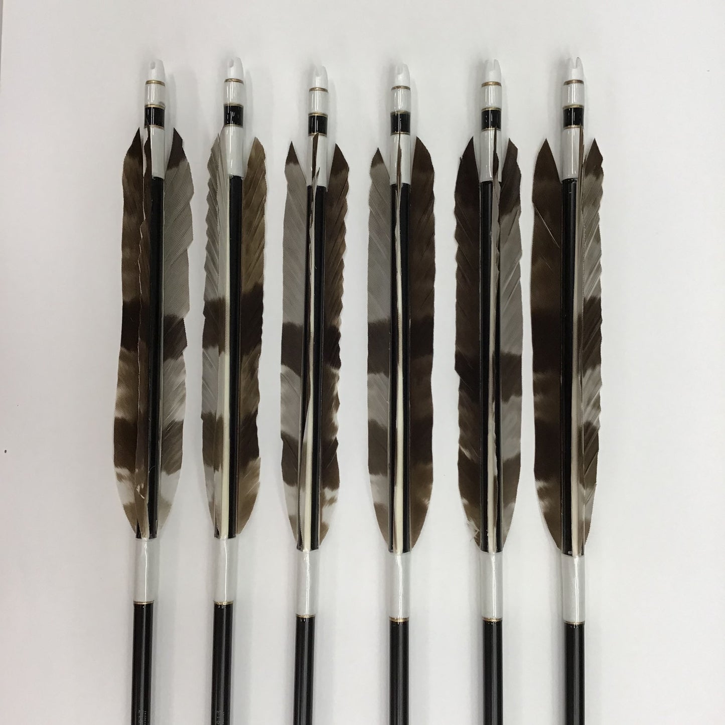 Aluminum Arrows with oriental honey buzzard feathers 1913