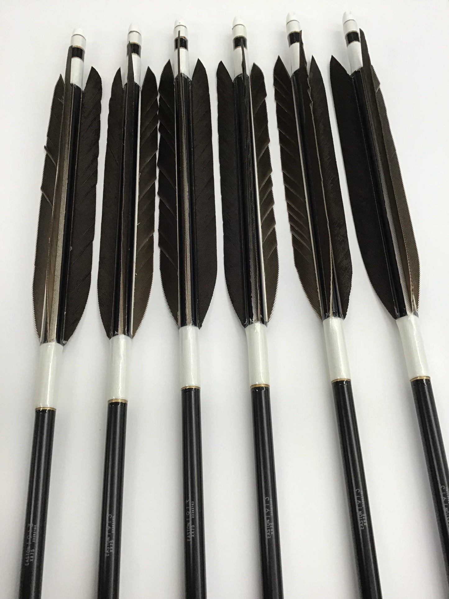 Aluminum Arrows with black eagle tail feathers 2014/2015