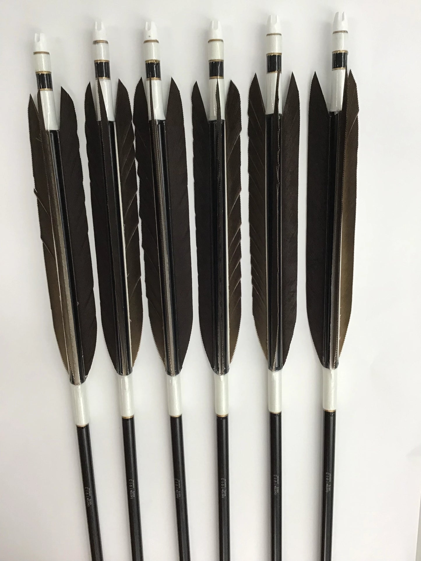 Aluminum Arrows with black eagle tail feathers 2014/2015