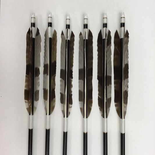 Aluminum Arrows  with oriental honey buzzard feathers 1913