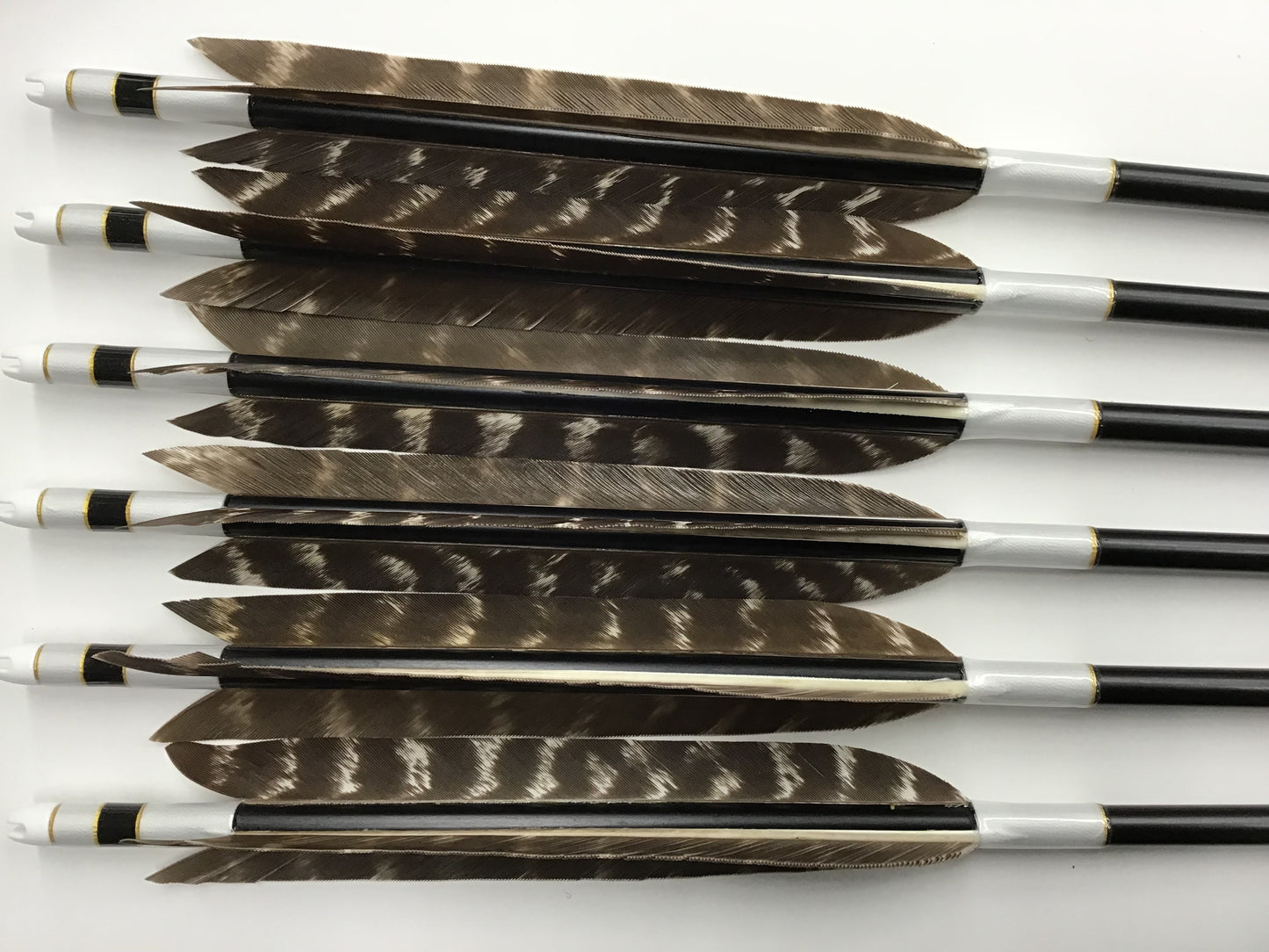 Aluminum Arrows with Wild turkey feathers 1813/1913/2014/2015