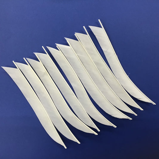 Arrow parts: Turkey cut feathers