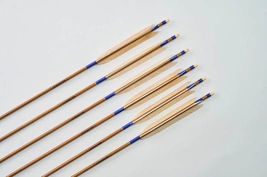 Carbon Arrows with black eagle bleached feathers