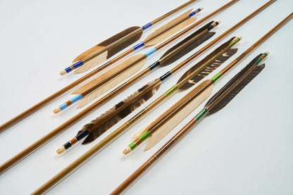 Carbon Arrows with black eagle bleached feathers