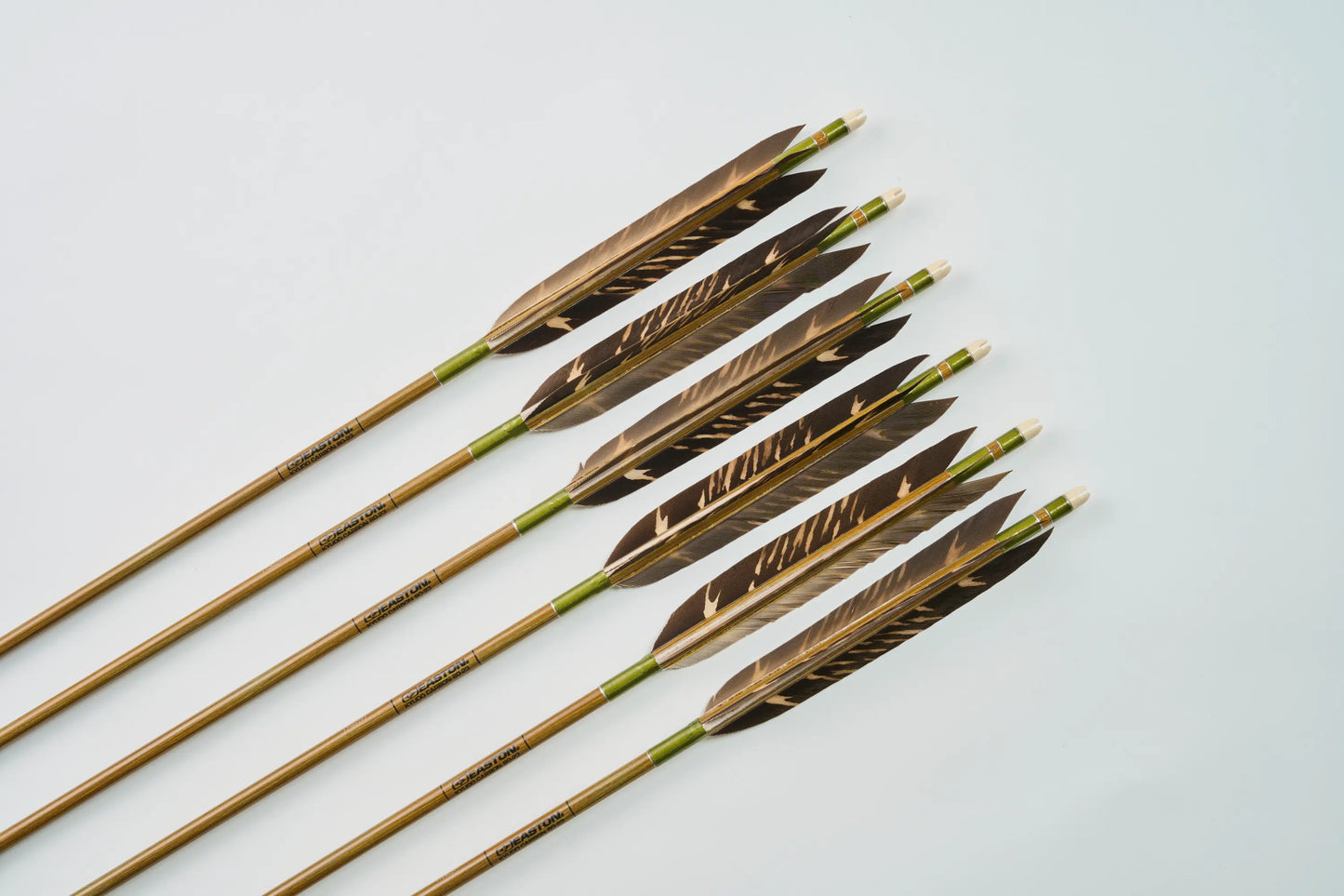 Carbon Arrows with black eagle bleached feathers
