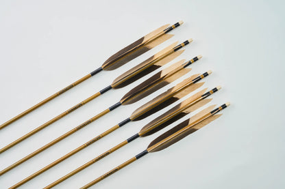 Carbon Arrows with black eagle bleached feathers