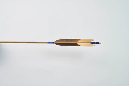 Carbon Arrows with black eagle bleached feathers