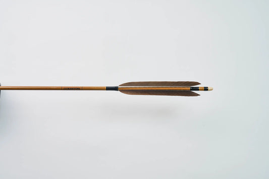 Carbon Arrows with black eagle feathers