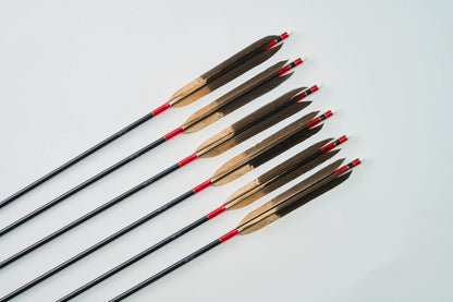 Aluminum Arrows with black eagle bleached feathers