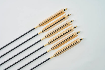 Aluminum Arrows with black eagle bleached feathers