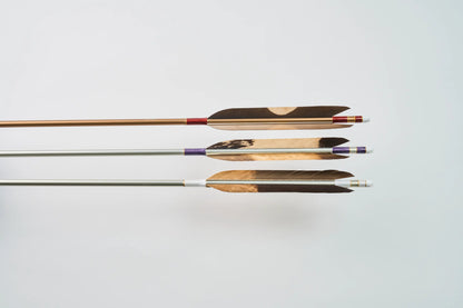 Aluminum Arrows with black eagle bleached feathers