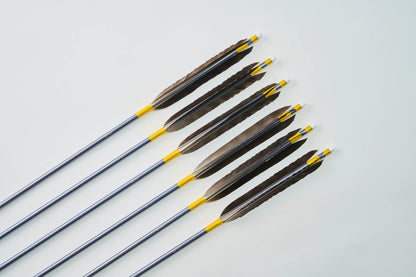 Aluminum Arrows  with Iso eagle feathers 1913/2015