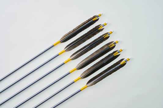 Aluminum Arrows  with Iso eagle feathers 1913/2015