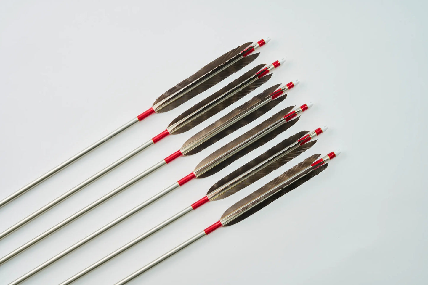 Aluminum Arrows  with Iso eagle feathers 1913/2015