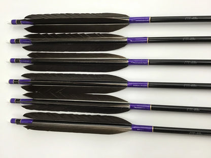 Aluminum Arrows  with black eagle tail feathers 2014/2015