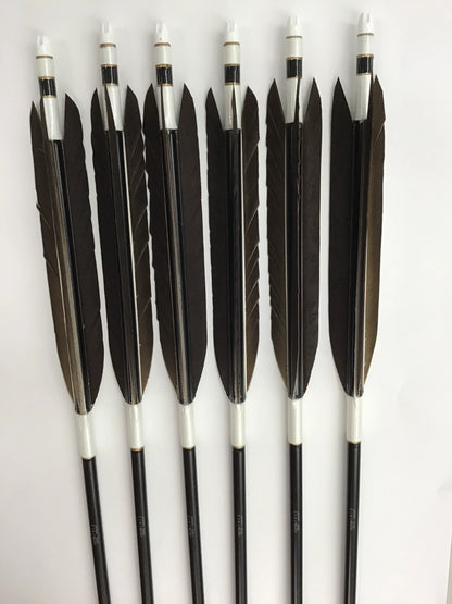 Aluminum Arrows  with black eagle tail feathers 2014/2015