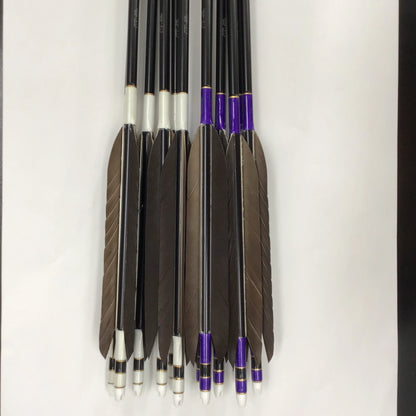 Aluminum Arrows  with black eagle tail feathers 2014/2015