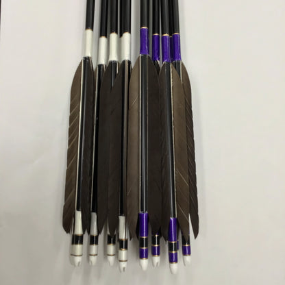 Aluminum Arrows  with black eagle tail feathers 2014/2015