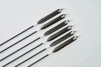 Aluminum Arrows  with black eagle tail feathers 2014/2015