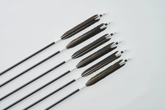Aluminum Arrows  with black eagle tail feathers 2014/2015